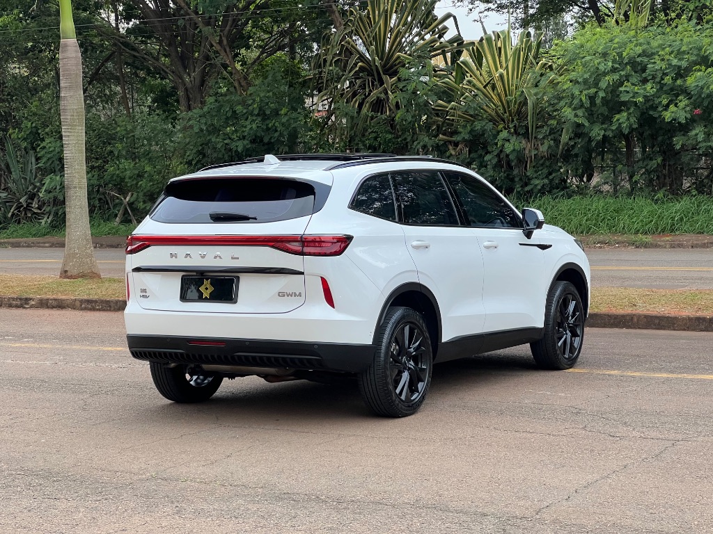 Haval H6 2 1.5 (Hibrido) — foto 7