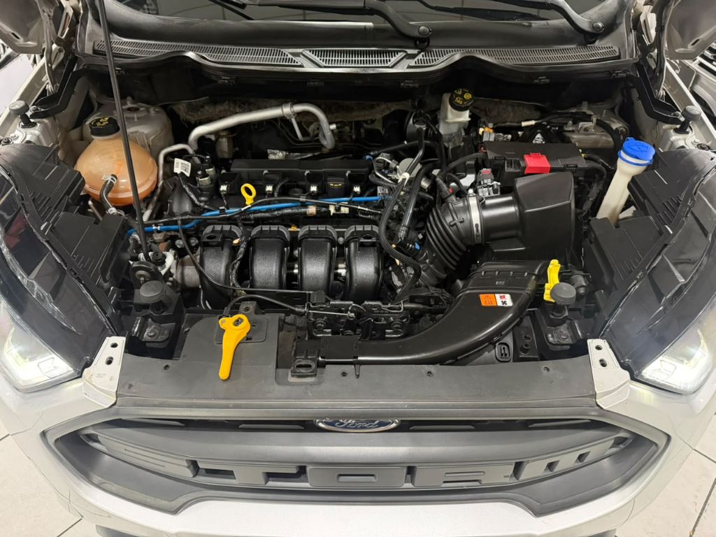 ECOSPORT 2.0 DIRECT STORM 4WD 4P — foto 15