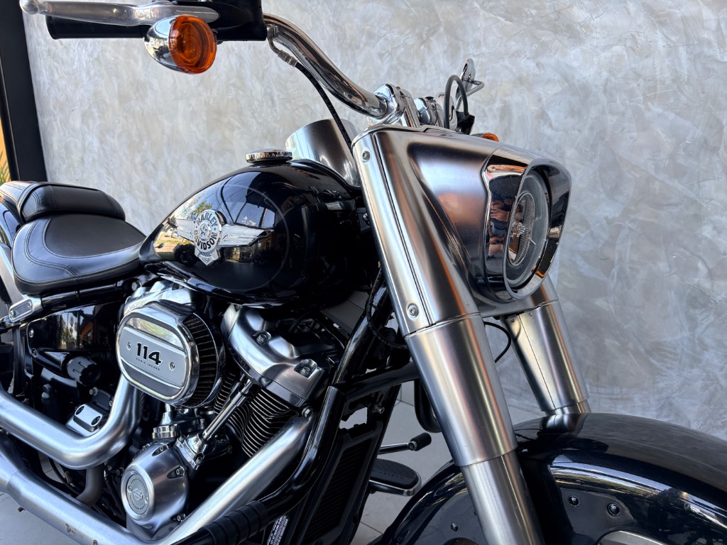 FAT BOY FLFBS — foto 4