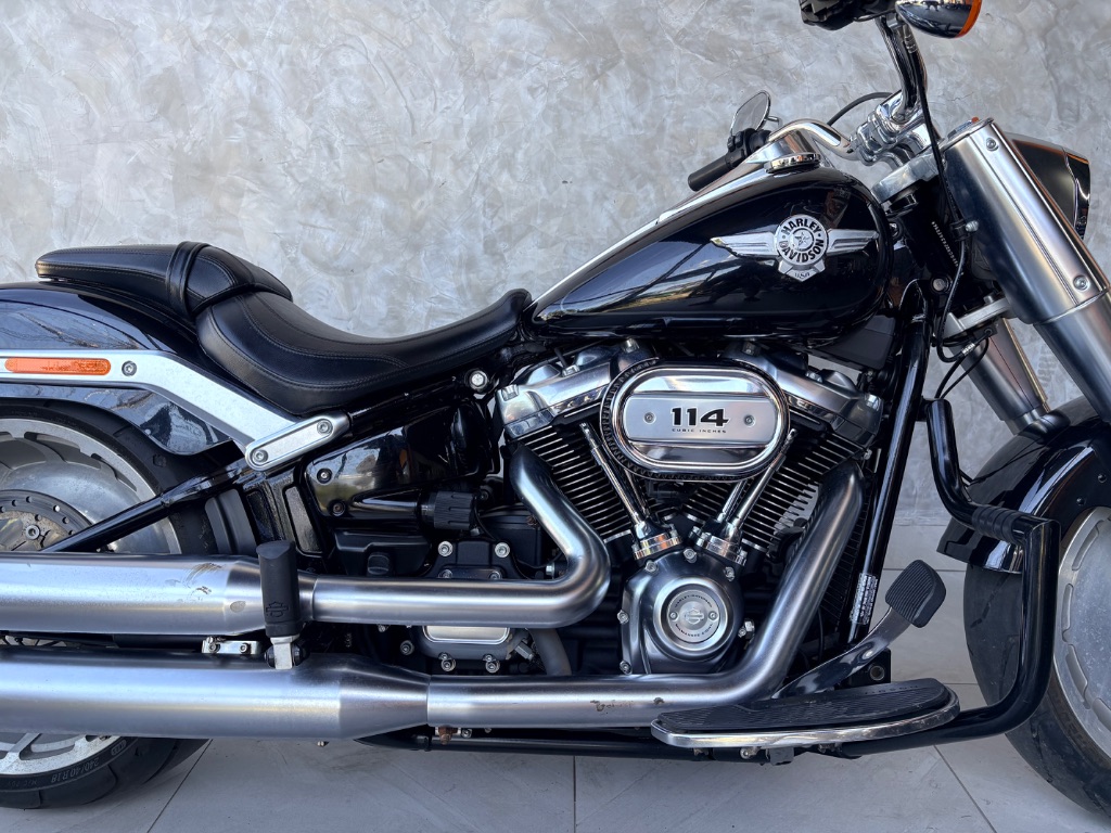 FAT BOY FLFBS — foto 10