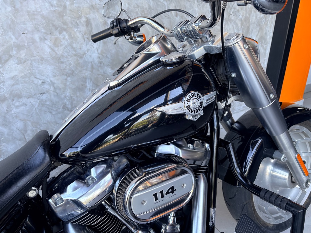 FAT BOY FLFBS — foto 5