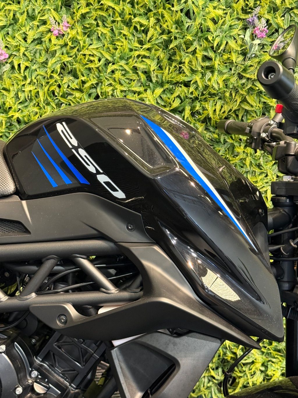 Evidence Motos
