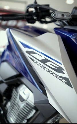 CB 300F Twister Flex — foto 7
