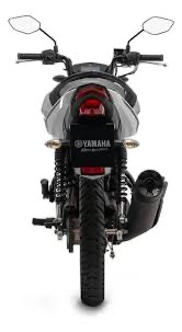YBR 150 FACTOR DX FLEX — foto 7