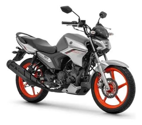 YBR 150 FACTOR DX FLEX — foto 1