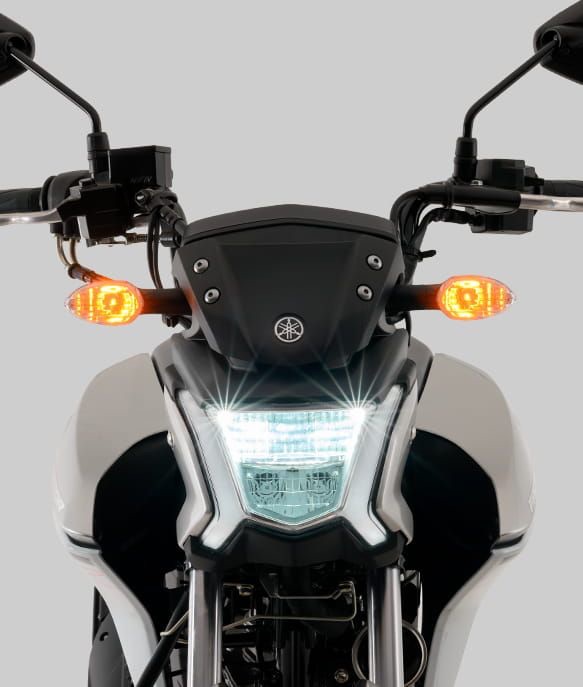 YBR 150 FACTOR DX FLEX — foto 2