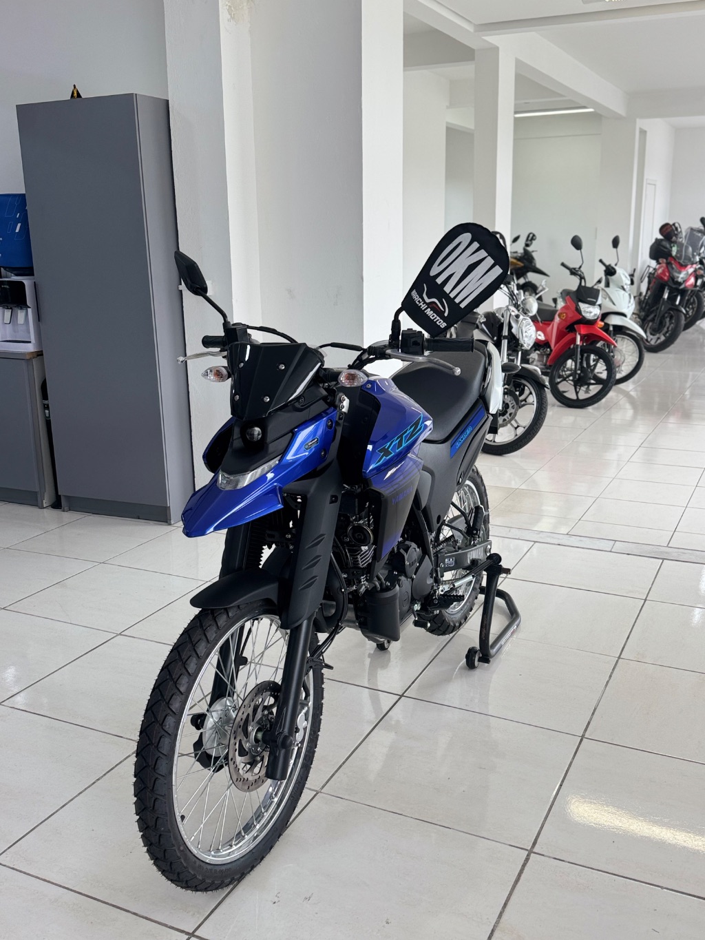 XTZ 250 LANDER CONNECTED — foto 8